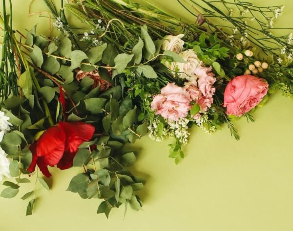 Elaboration de la palette végétale